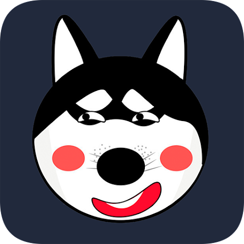 小哈VP N官方下载